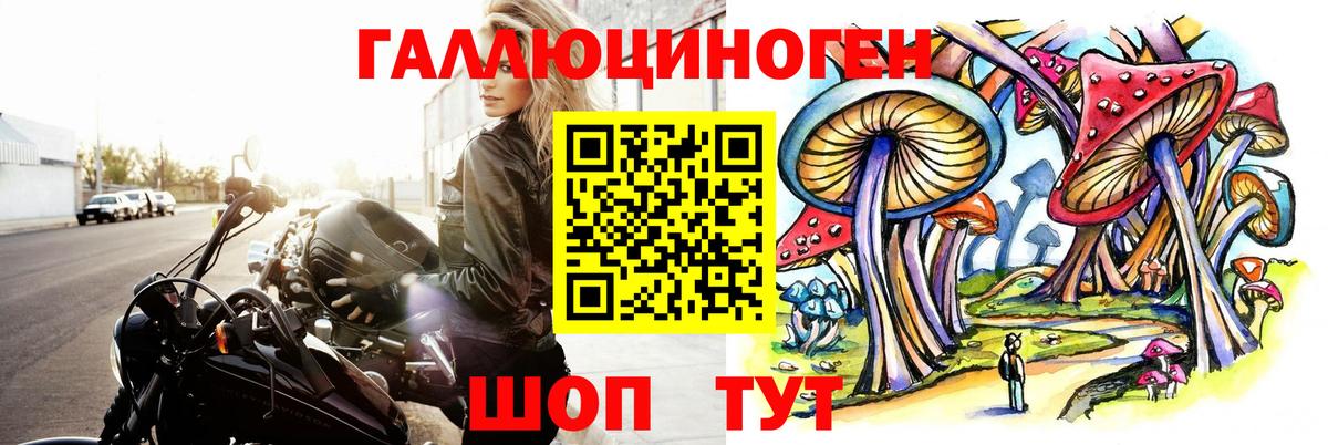 Красноуфимск  Галлюциногенные грибы GOLDEN TEACHER  Псилоцибиновые грибы мицелий  Вход с VPN 